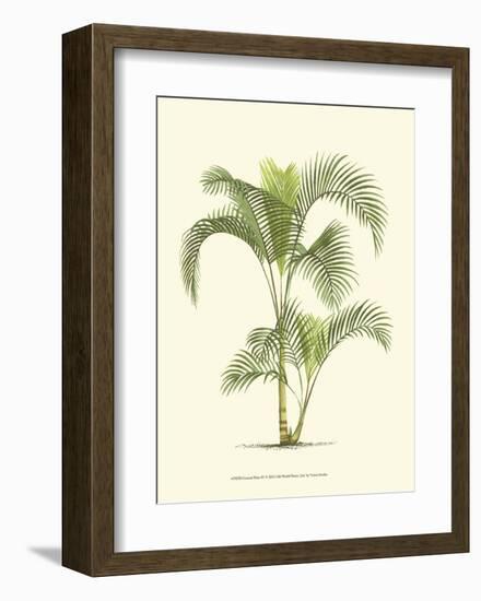 Coastal Palm IV-null-Framed Art Print