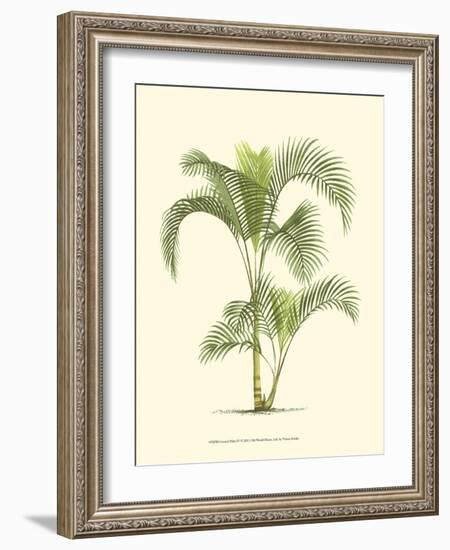 Coastal Palm IV-null-Framed Art Print