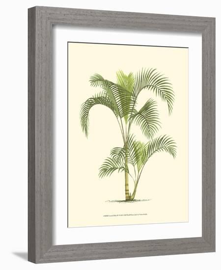 Coastal Palm IV-null-Framed Art Print