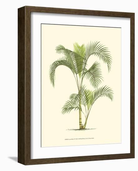 Coastal Palm IV-null-Framed Art Print