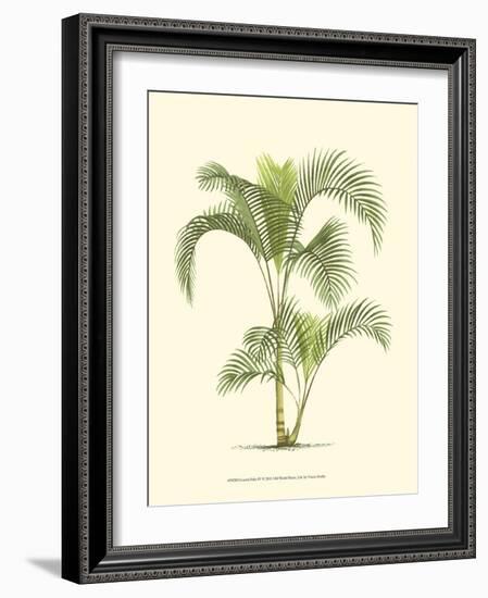 Coastal Palm IV-null-Framed Art Print