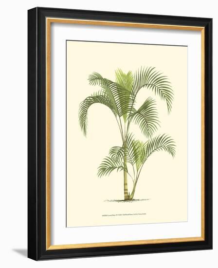 Coastal Palm IV-null-Framed Art Print