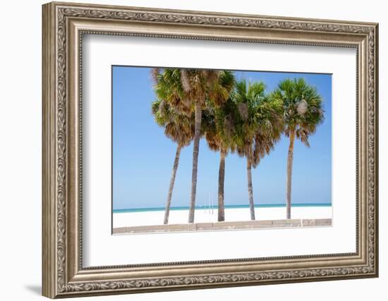 Coastal Palms I-Laura DeNardo-Framed Photographic Print