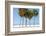 Coastal Palms I-Laura DeNardo-Framed Photographic Print