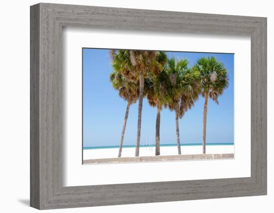 Coastal Palms I-Laura DeNardo-Framed Photographic Print