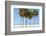 Coastal Palms I-Laura DeNardo-Framed Photographic Print