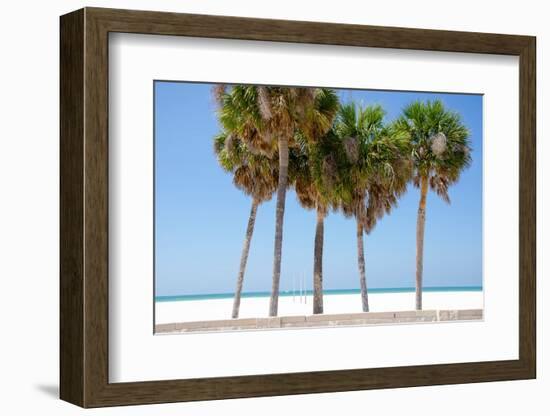 Coastal Palms I-Laura DeNardo-Framed Photographic Print