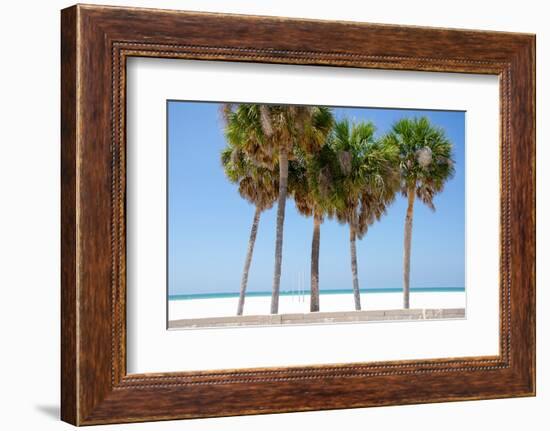 Coastal Palms I-Laura DeNardo-Framed Photographic Print