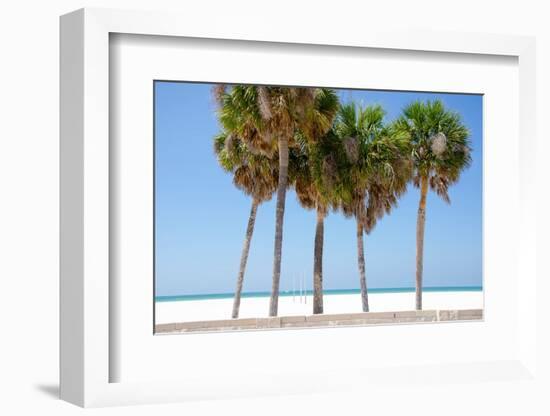 Coastal Palms I-Laura DeNardo-Framed Photographic Print