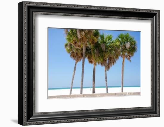 Coastal Palms I-Laura DeNardo-Framed Photographic Print