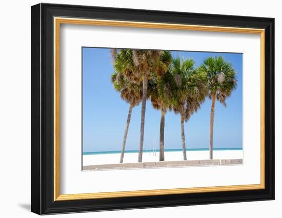 Coastal Palms I-Laura DeNardo-Framed Photographic Print