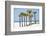 Coastal Palms II-Laura DeNardo-Framed Photographic Print