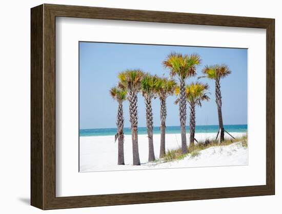 Coastal Palms II-Laura DeNardo-Framed Photographic Print