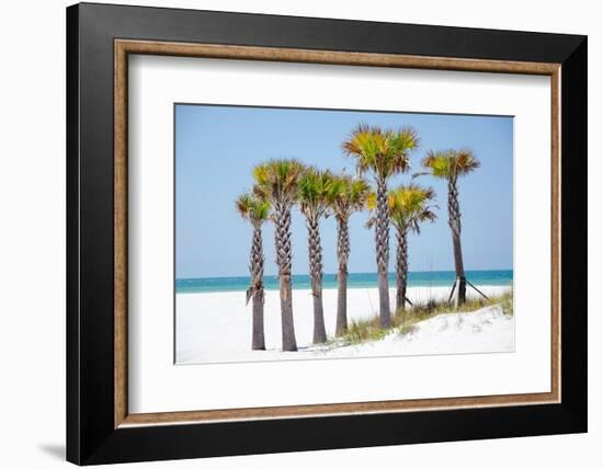 Coastal Palms II-Laura DeNardo-Framed Photographic Print