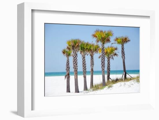 Coastal Palms II-Laura DeNardo-Framed Photographic Print