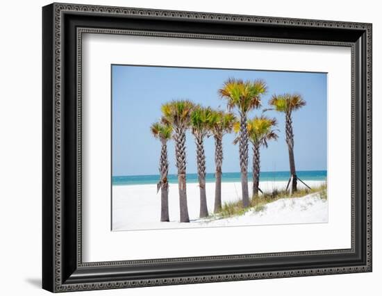 Coastal Palms II-Laura DeNardo-Framed Photographic Print