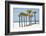 Coastal Palms II-Laura DeNardo-Framed Photographic Print