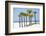 Coastal Palms II-Laura DeNardo-Framed Photographic Print