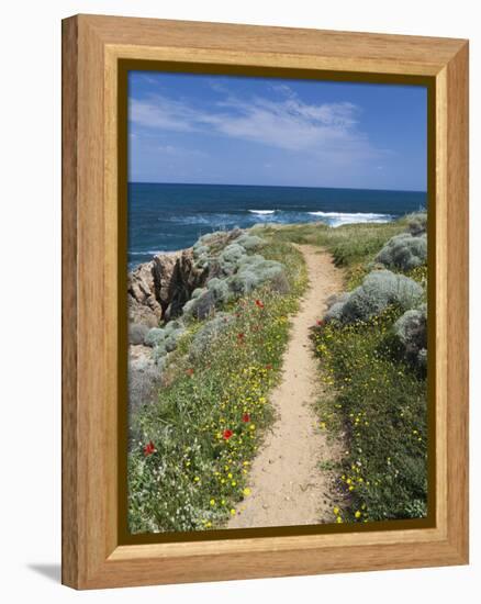 Coastal Path with Spring Flowers, Near Chania, Chania Region, Crete, Greek Islands, Greece, Europe-Stuart Black-Framed Premier Image Canvas