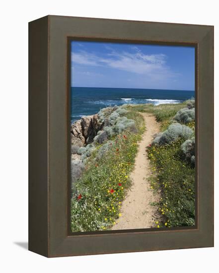 Coastal Path with Spring Flowers, Near Chania, Chania Region, Crete, Greek Islands, Greece, Europe-Stuart Black-Framed Premier Image Canvas