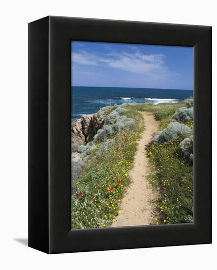 Coastal Path with Spring Flowers, Near Chania, Chania Region, Crete, Greek Islands, Greece, Europe-Stuart Black-Framed Premier Image Canvas