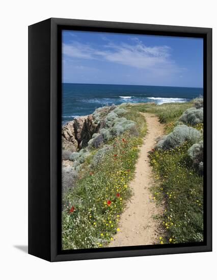 Coastal Path with Spring Flowers, Near Chania, Chania Region, Crete, Greek Islands, Greece, Europe-Stuart Black-Framed Premier Image Canvas