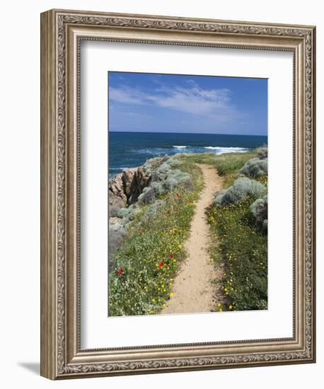 Coastal Path with Spring Flowers, Near Chania, Chania Region, Crete, Greek Islands, Greece, Europe-Stuart Black-Framed Photographic Print