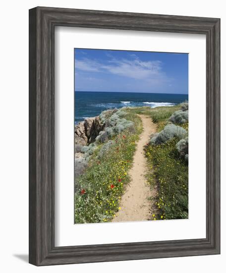 Coastal Path with Spring Flowers, Near Chania, Chania Region, Crete, Greek Islands, Greece, Europe-Stuart Black-Framed Photographic Print