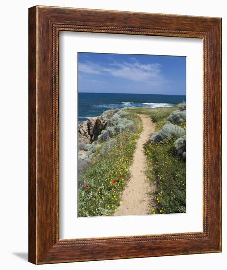 Coastal Path with Spring Flowers, Near Chania, Chania Region, Crete, Greek Islands, Greece, Europe-Stuart Black-Framed Photographic Print