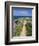 Coastal Path with Spring Flowers, Near Chania, Chania Region, Crete, Greek Islands, Greece, Europe-Stuart Black-Framed Photographic Print