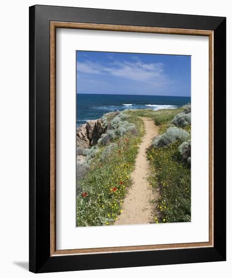 Coastal Path with Spring Flowers, Near Chania, Chania Region, Crete, Greek Islands, Greece, Europe-Stuart Black-Framed Photographic Print