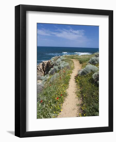 Coastal Path with Spring Flowers, Near Chania, Chania Region, Crete, Greek Islands, Greece, Europe-Stuart Black-Framed Photographic Print