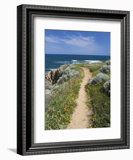 Coastal Path with Spring Flowers, Near Chania, Chania Region, Crete, Greek Islands, Greece, Europe-Stuart Black-Framed Photographic Print