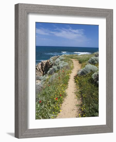 Coastal Path with Spring Flowers, Near Chania, Chania Region, Crete, Greek Islands, Greece, Europe-Stuart Black-Framed Photographic Print