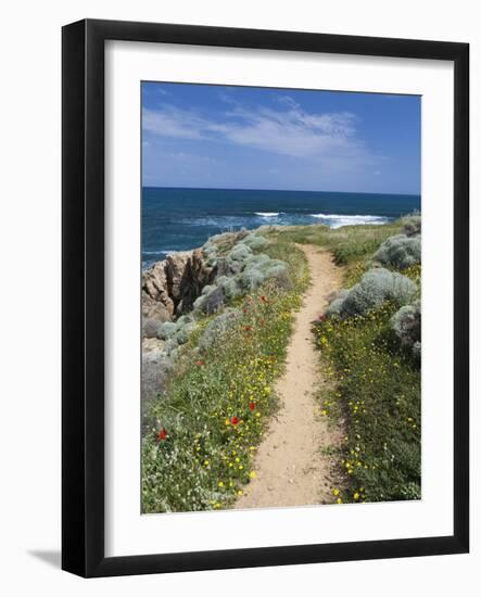 Coastal Path with Spring Flowers, Near Chania, Chania Region, Crete, Greek Islands, Greece, Europe-Stuart Black-Framed Photographic Print