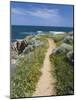 Coastal Path with Spring Flowers, Near Chania, Chania Region, Crete, Greek Islands, Greece, Europe-Stuart Black-Mounted Photographic Print