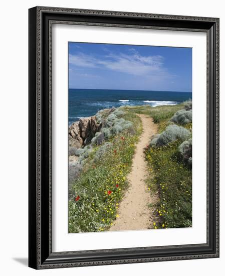 Coastal Path with Spring Flowers, Near Chania, Chania Region, Crete, Greek Islands, Greece, Europe-Stuart Black-Framed Photographic Print