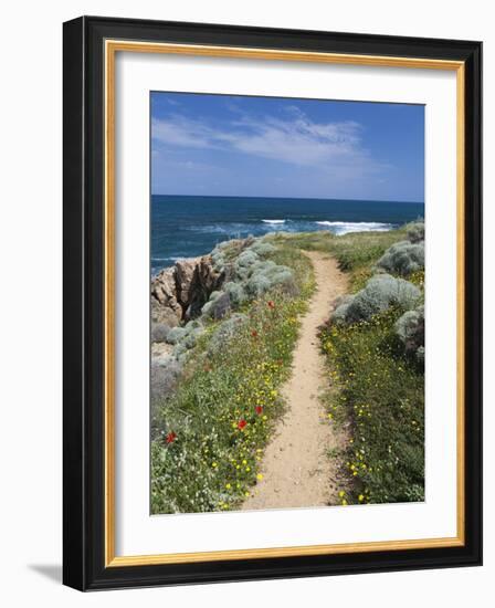 Coastal Path with Spring Flowers, Near Chania, Chania Region, Crete, Greek Islands, Greece, Europe-Stuart Black-Framed Photographic Print