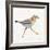 Coastal Plover I Linen-Jeanette Vertentes-Framed Art Print