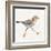 Coastal Plover I Linen-Jeanette Vertentes-Framed Art Print