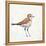 Coastal Plover III Linen-Jeanette Vertentes-Framed Stretched Canvas