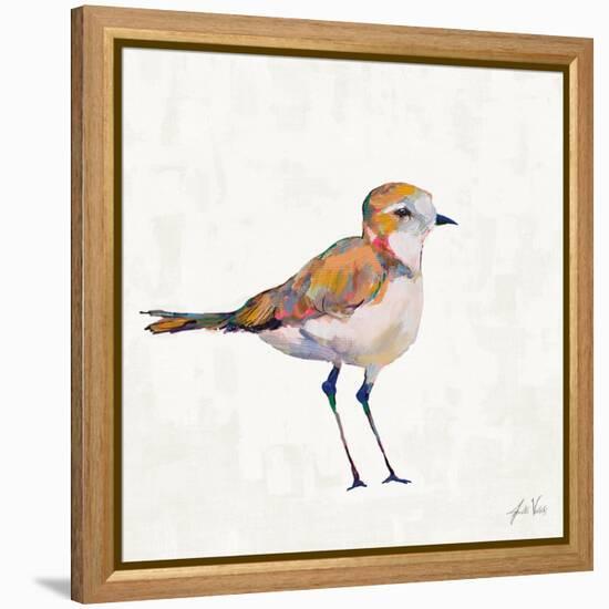 Coastal Plover III Linen-Jeanette Vertentes-Framed Stretched Canvas