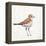 Coastal Plover III Linen-Jeanette Vertentes-Framed Stretched Canvas