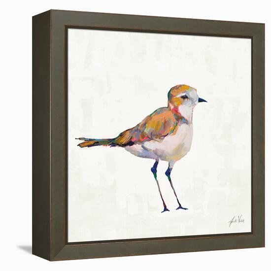 Coastal Plover III Linen-Jeanette Vertentes-Framed Stretched Canvas