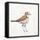 Coastal Plover III Linen-Jeanette Vertentes-Framed Stretched Canvas