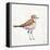 Coastal Plover III Linen-Jeanette Vertentes-Framed Stretched Canvas