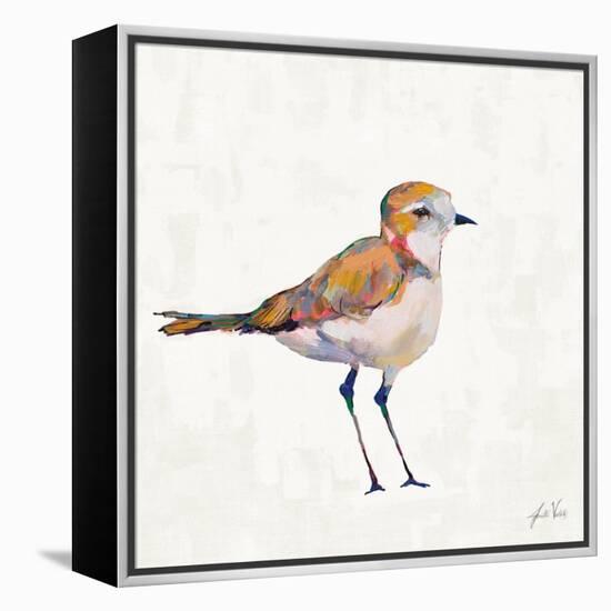 Coastal Plover III Linen-Jeanette Vertentes-Framed Stretched Canvas