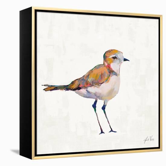 Coastal Plover III Linen-Jeanette Vertentes-Framed Stretched Canvas