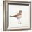 Coastal Plover III Linen-Jeanette Vertentes-Framed Art Print