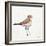 Coastal Plover III Linen-Jeanette Vertentes-Framed Art Print